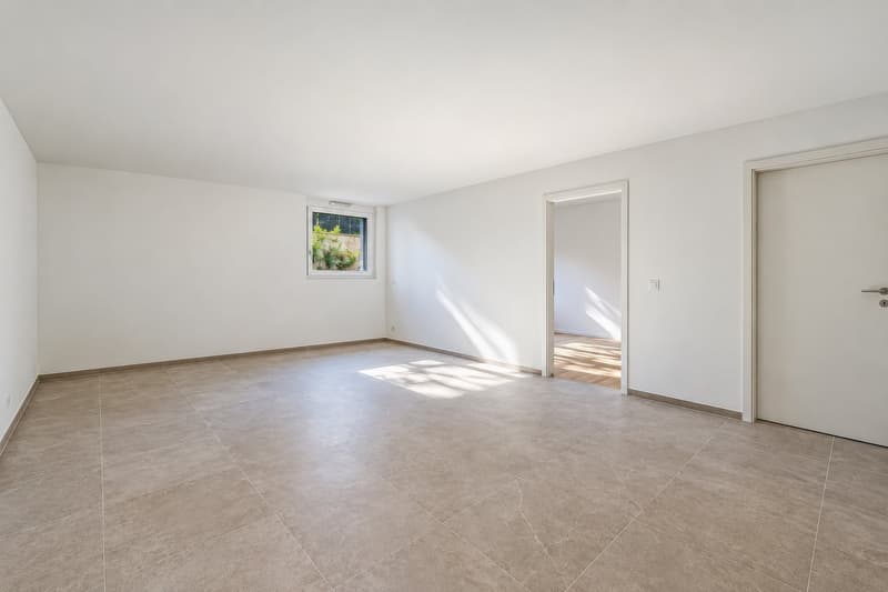 DISPONIBLE DE SUITE - VESENAZ - Villa d'architecte neuve (20)