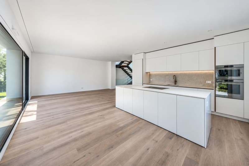 DISPONIBLE DE SUITE - VESENAZ - Villa d'architecte neuve (5)