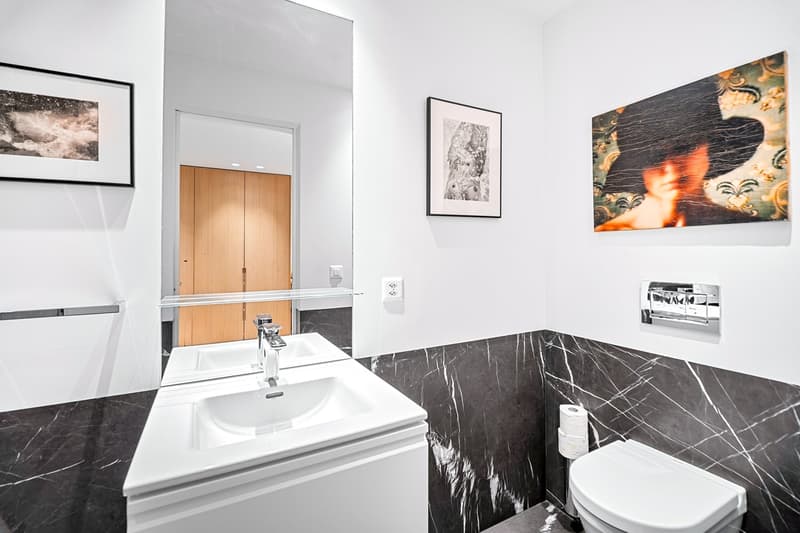 COLOGNY - Ravissante villa contemporaine (21)