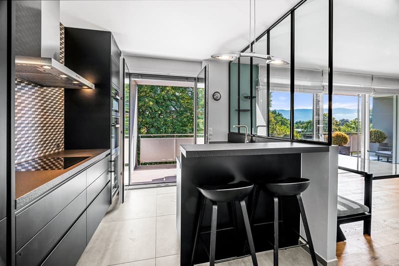 COLOGNY - Magnifique appartement dernier étage (5)