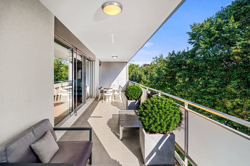 COLOGNY - Magnifique appartement dernier étage (3)