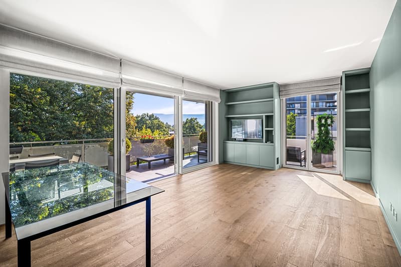 COLOGNY - Magnifique appartement dernier étage (2)