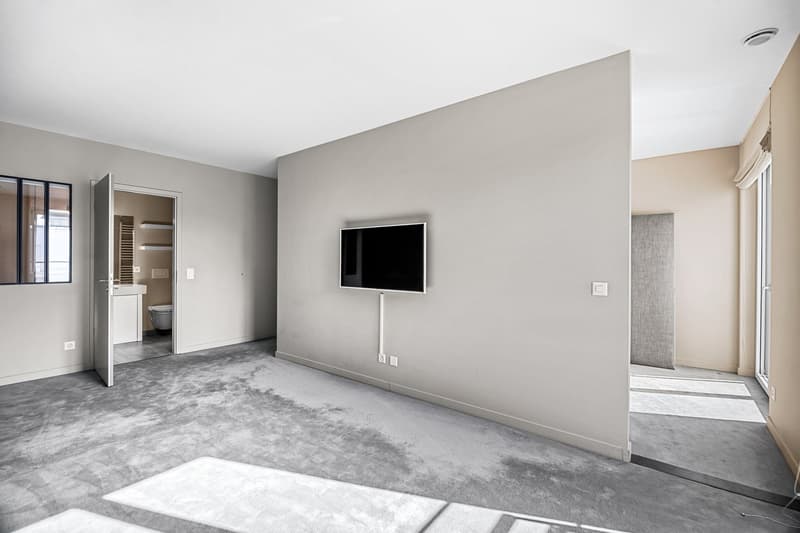 COLOGNY - Magnifique appartement dernier étage (7)