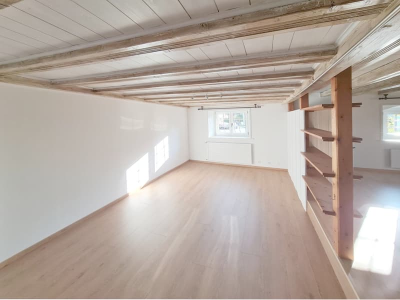 Appartement de 2 pièces situé à concise à environ 5 minutes à pieds du bord du lac et de la gare. (2)