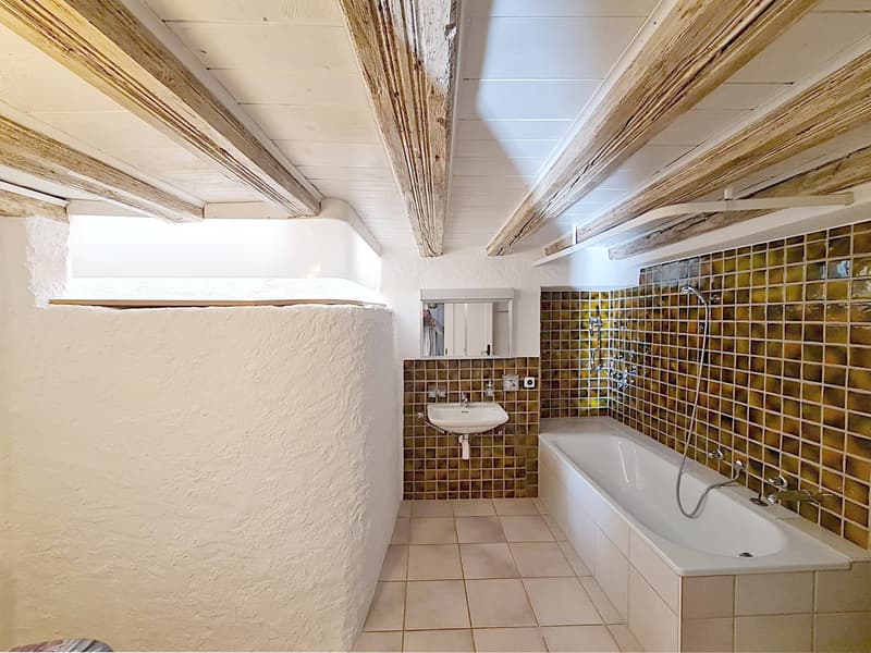 Appartement de 2 pièces situé à concise à environ 5 minutes à pieds du bord du lac et de la gare. (6)