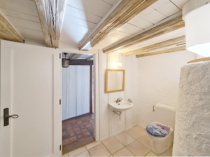 Appartement de 2 pièces situé à concise à environ 5 minutes à pieds du bord du lac et de la gare. (5)