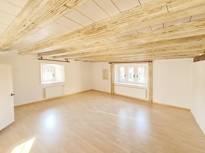 Appartement de 2 pièces situé à concise à environ 5 minutes à pieds du bord du lac et de la gare. (3)