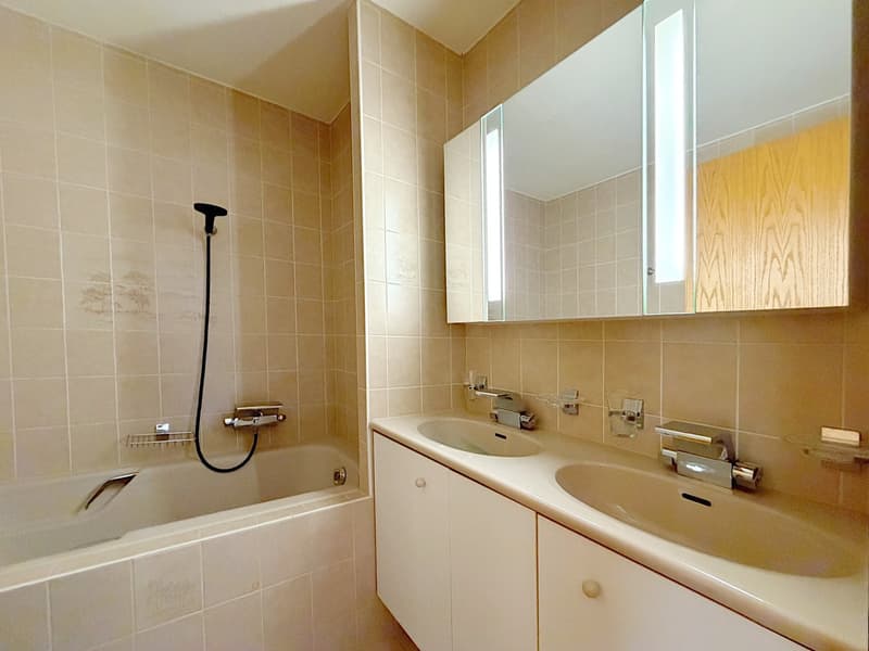 Bello appartamento di 3 locali situato in un piccolo edificio in PPE (7)