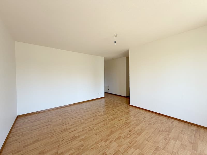 Bello appartamento di 3 locali situato in un piccolo edificio in PPE (2)