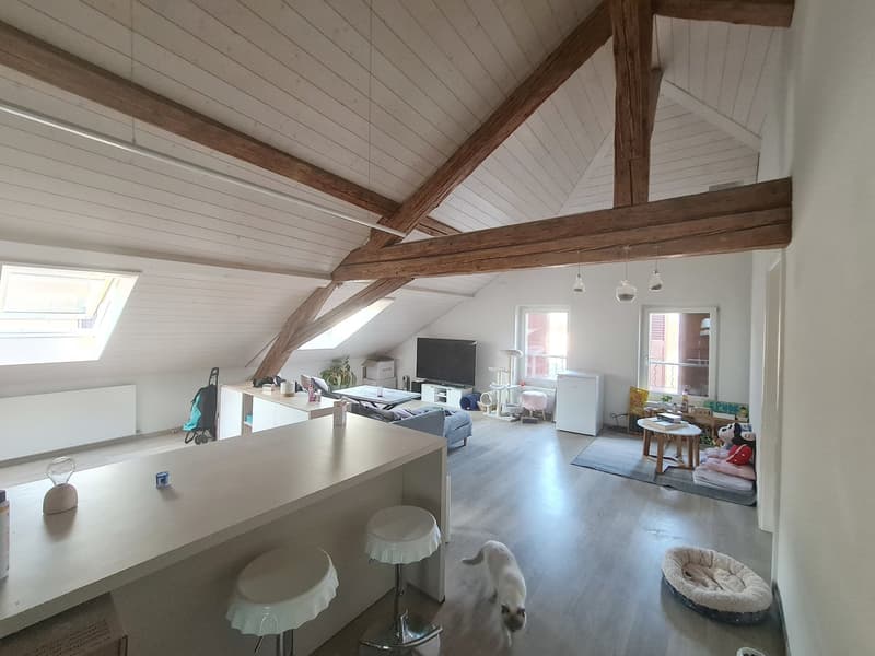 Appartement attique de 3.5 pièces situé au centre-ville (2)