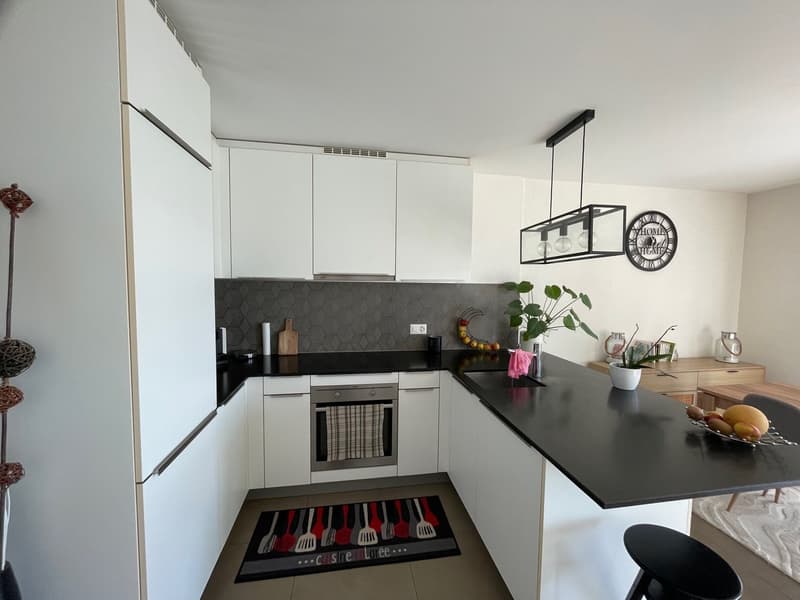 Grand appartement de 2.5 pièces à Pailly (3)