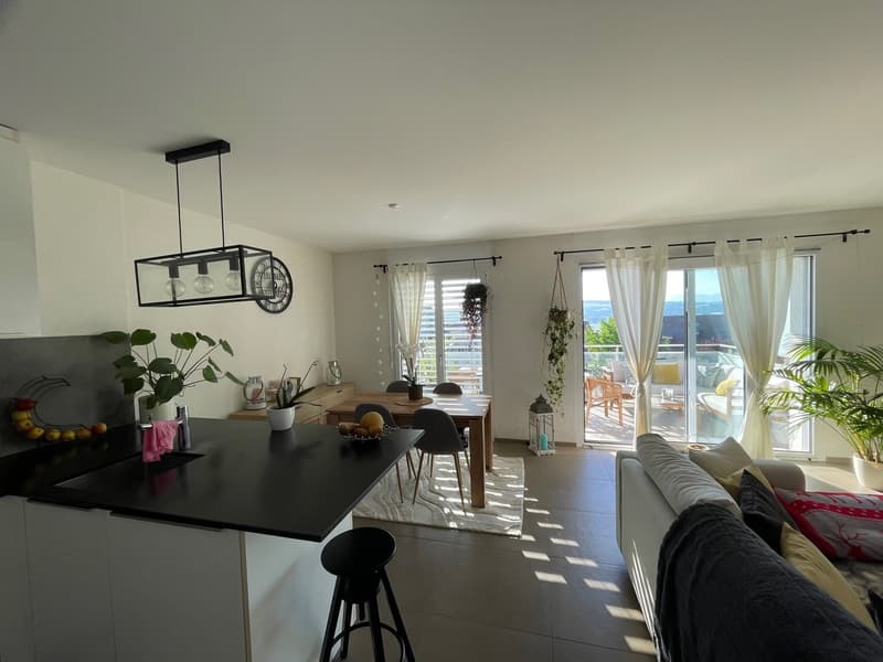 Grand appartement de 2.5 pièces à Pailly (4)