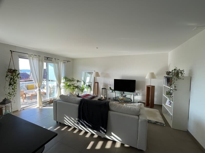 Grand appartement de 2.5 pièces à Pailly (2)