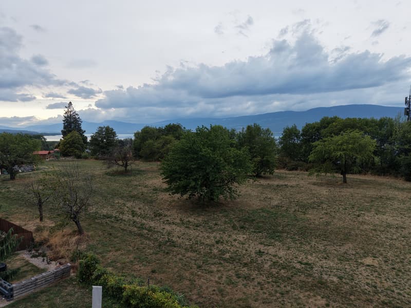 dji_fly_20260820_193934_0049_1787249470396_photo.jpg