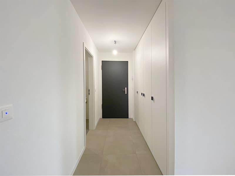 Hall dentree 2.jpg