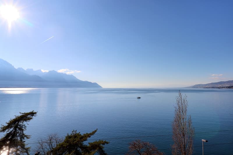 Vue sur le lac Veytaux.jpg