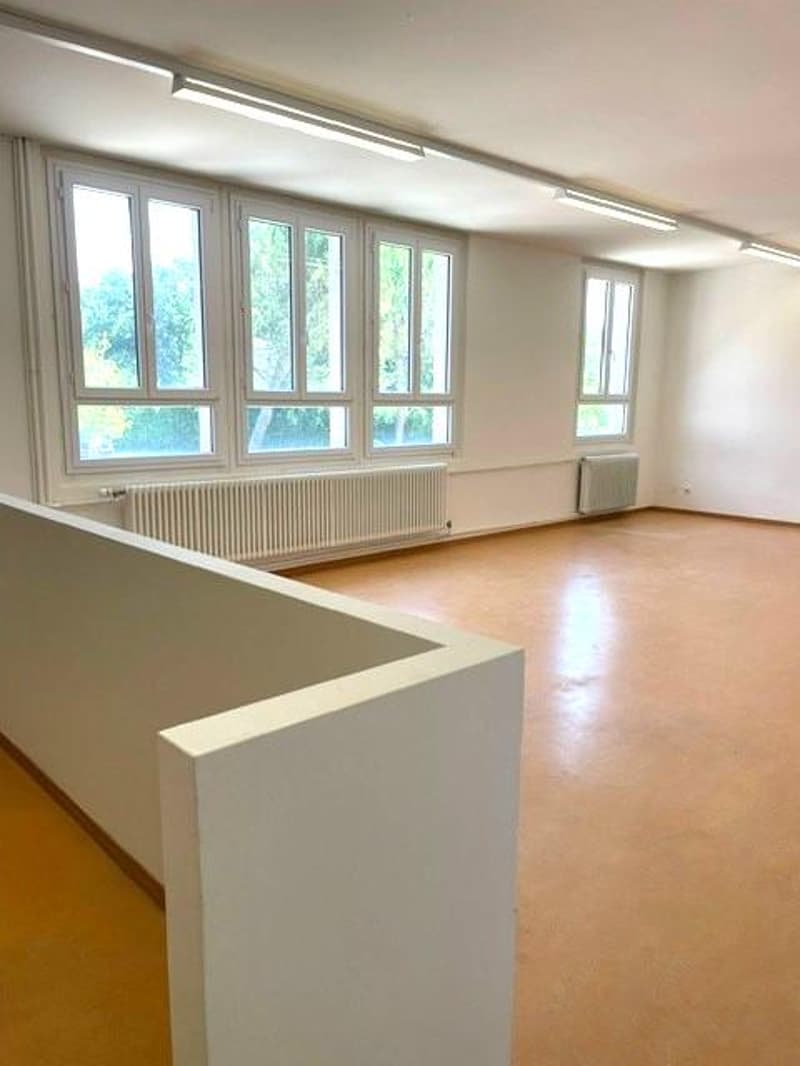 Espaces de formation, locaux commerciaux, bureaux (4)