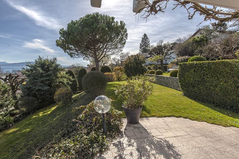 Property with magnificent views of the lake, the Alps and Mont Blanc (4)