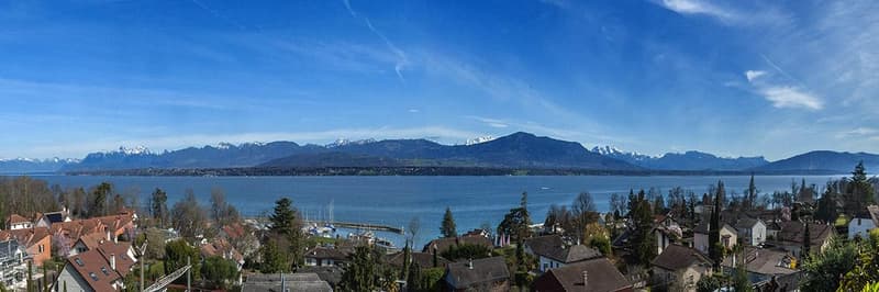 Property with magnificent views of the lake, the Alps and Mont Blanc (2)