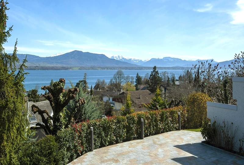Property with magnificent views of the lake, the Alps and Mont Blanc (3)