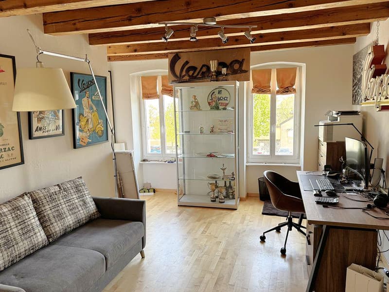 Rare - Magnifique appartement de 4.5 pièces avec terrasse et jardin en vieille-ville (11)