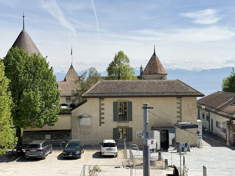Rare - Magnifique appartement de 4.5 pièces avec terrasse et jardin en vieille-ville (5)