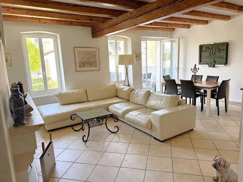 Rare - Magnifique appartement de 4.5 pièces avec terrasse et jardin en vieille-ville (7)