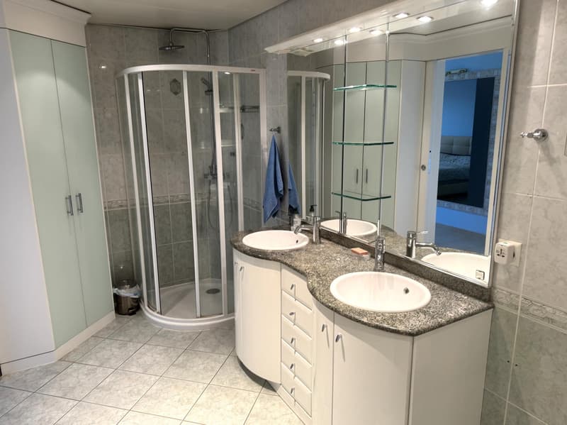 Beautiful 4.5-room duplex attic apartment (8)