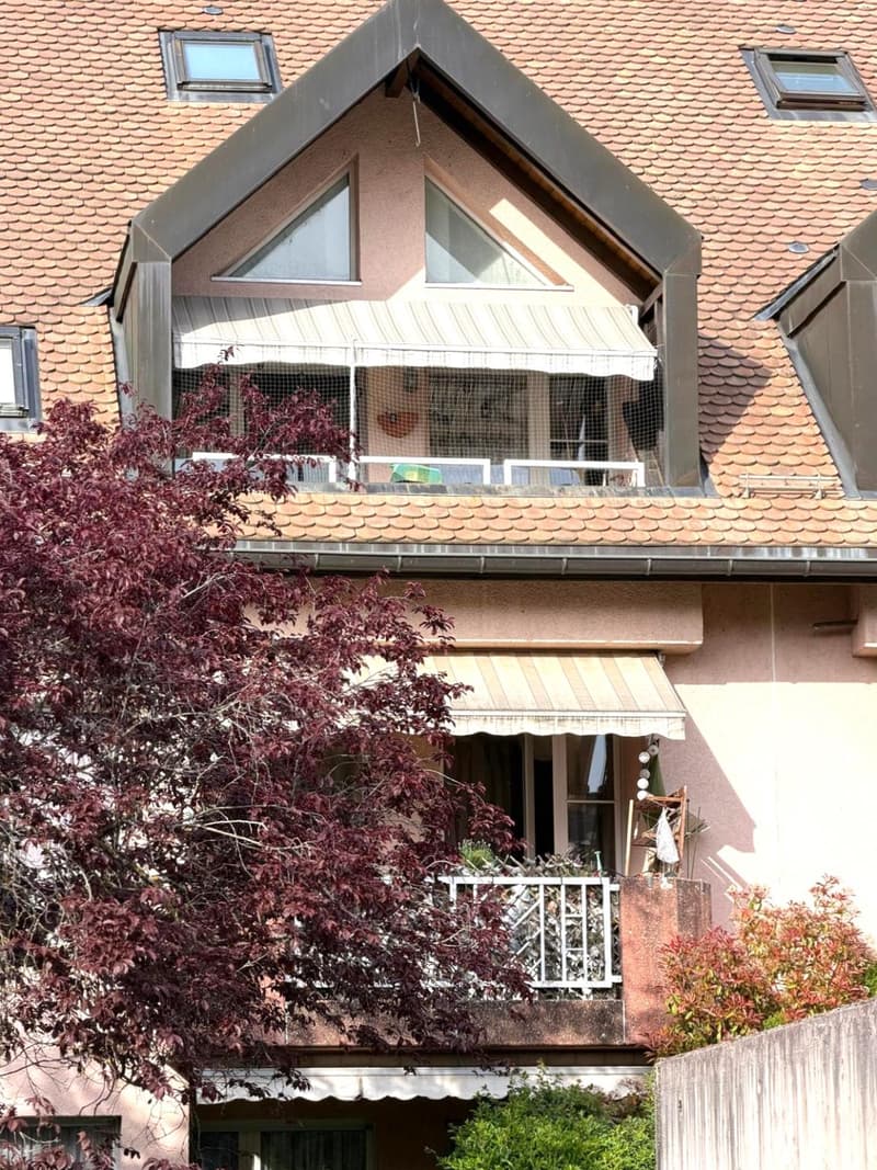 3.5 room apartment with balcony, to be renovated (3)
