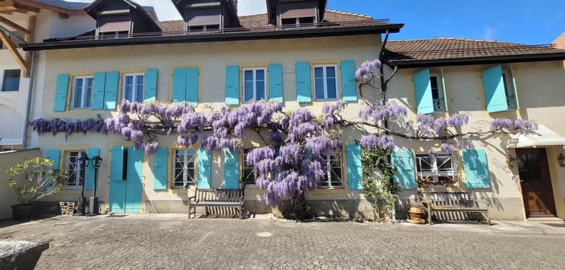 Charming village house with unique character (2)