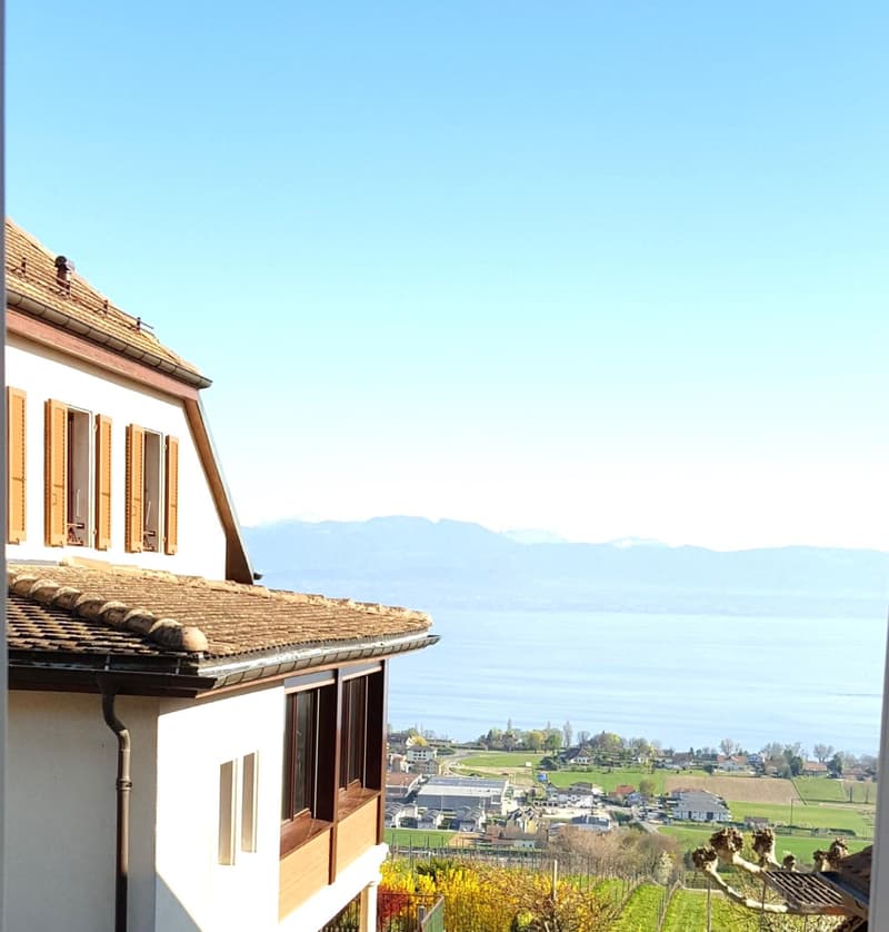 Charmante maison individuelle de 5.5 pièces avec vue sur le lac (1)
