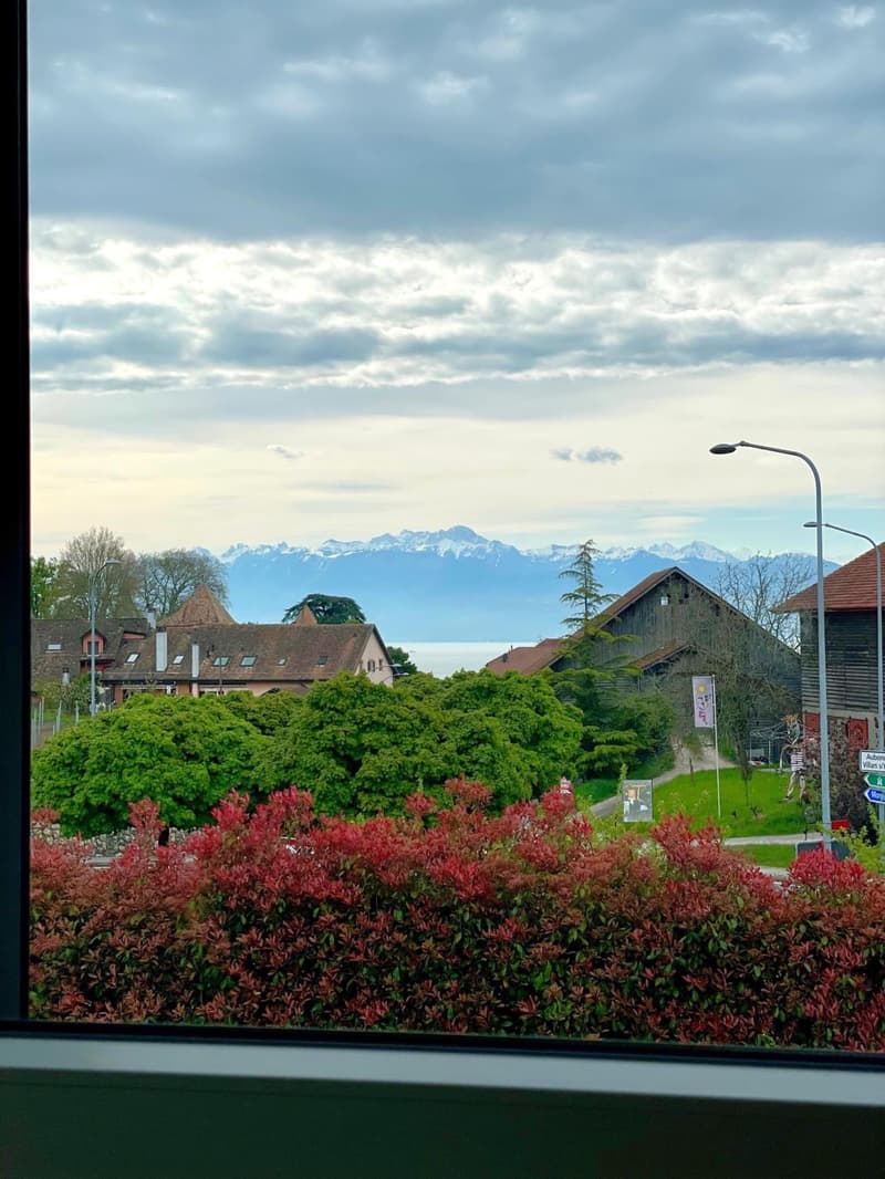 Charmanter Reihenbungalow mit 4,5 Zimmern (2)