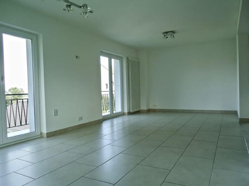 Bella casa a schiera di 5.5 locali (4)