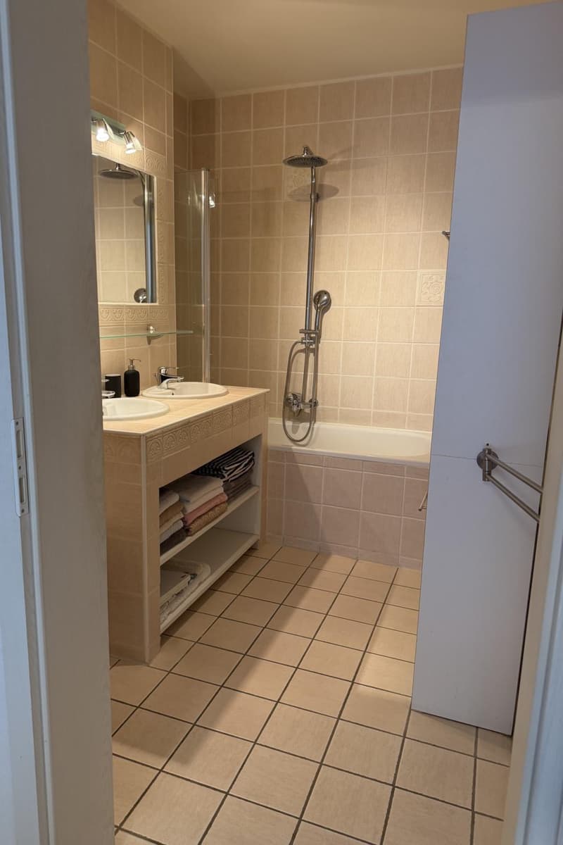 Schönes möbliertes 3.5-Zimmer-Apartment mit Garten (7)