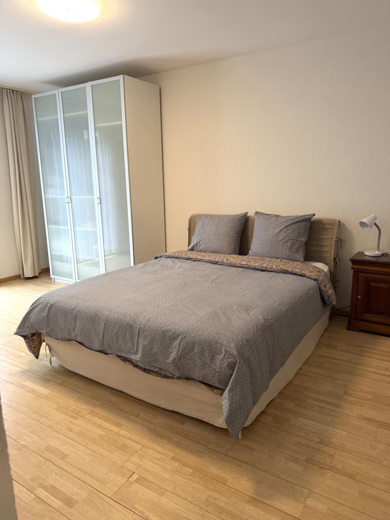Schönes möbliertes 3.5-Zimmer-Apartment mit Garten (5)