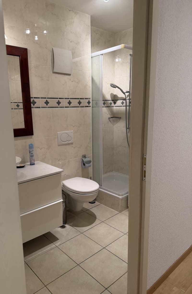 Schönes möbliertes 3.5-Zimmer-Apartment mit Garten (8)