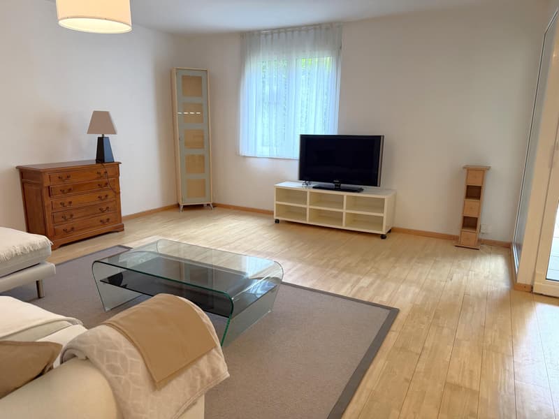 Schönes möbliertes 3.5-Zimmer-Apartment mit Garten (2)