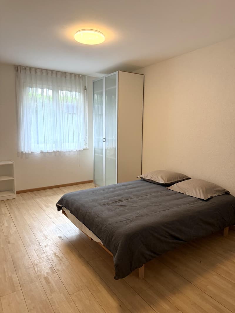 Schönes möbliertes 3.5-Zimmer-Apartment mit Garten (6)