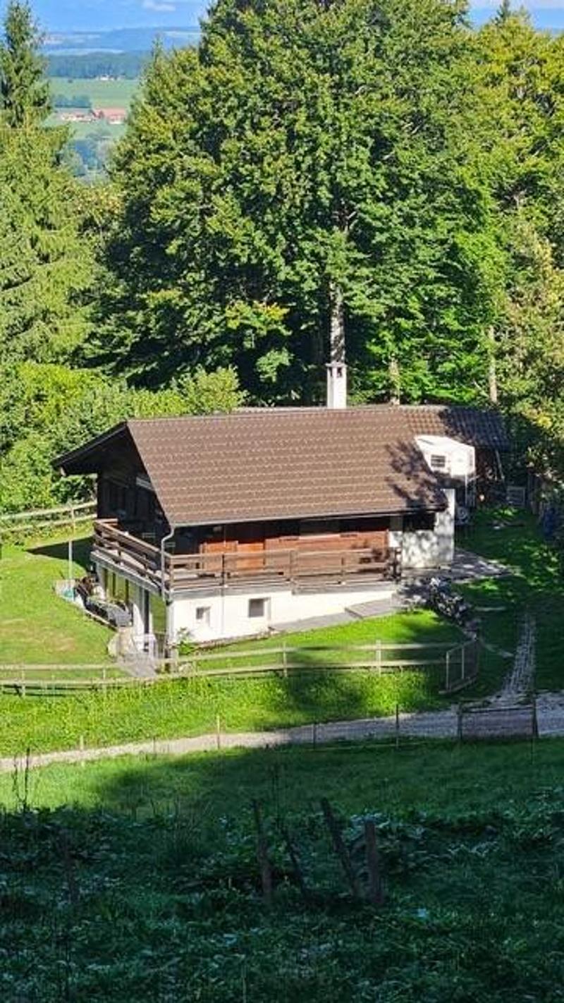 Charmanter Chalet mit 3,5 Zimmern (3)