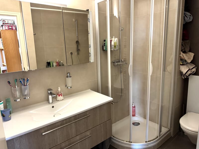 Bel appartement de 4.5 pièces en rez de jardin (11)
