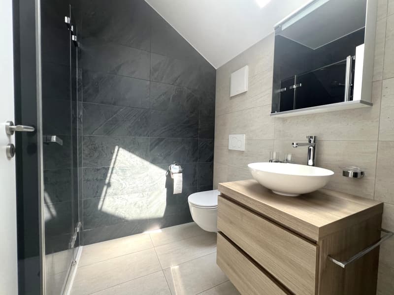 Schönes 2,5-Zimmer-Attikawohnung mit Balkon (6)