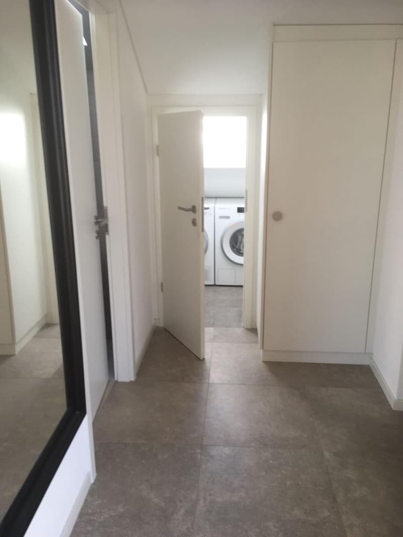 Schönes 2,5-Zimmer-Attikawohnung mit Balkon (5)