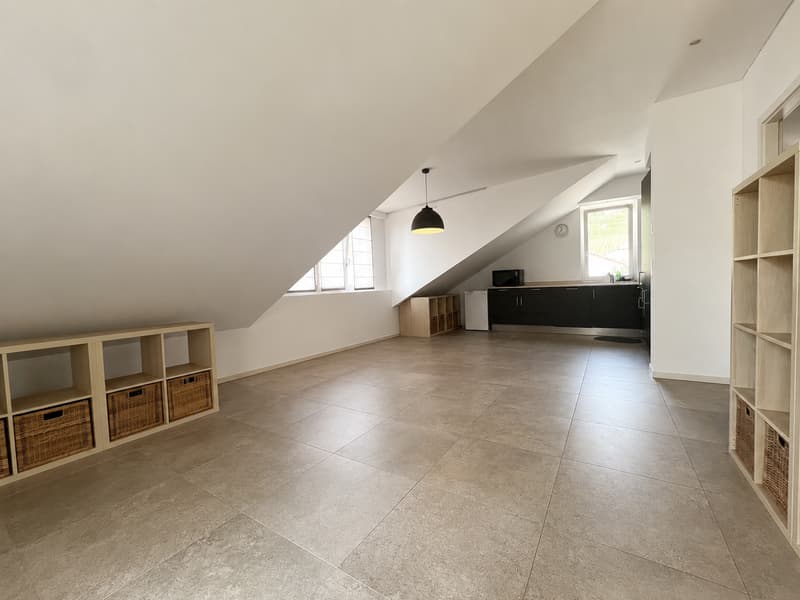 Schönes 2,5-Zimmer-Attikawohnung mit Balkon (2)