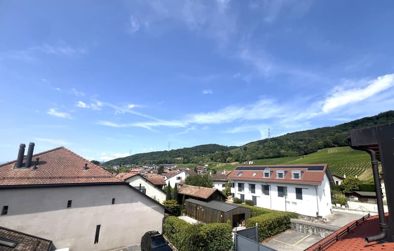 Schönes 2,5-Zimmer-Attikawohnung mit Balkon (1)