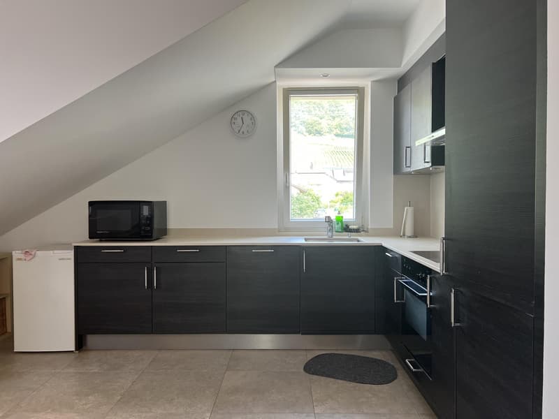 Schönes 2,5-Zimmer-Attikawohnung mit Balkon (3)