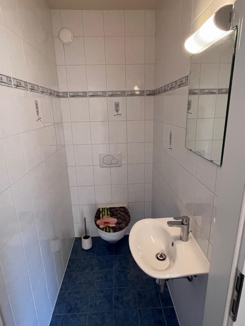 Wohnung mit 3.5 Zimmern und Balkon (7)