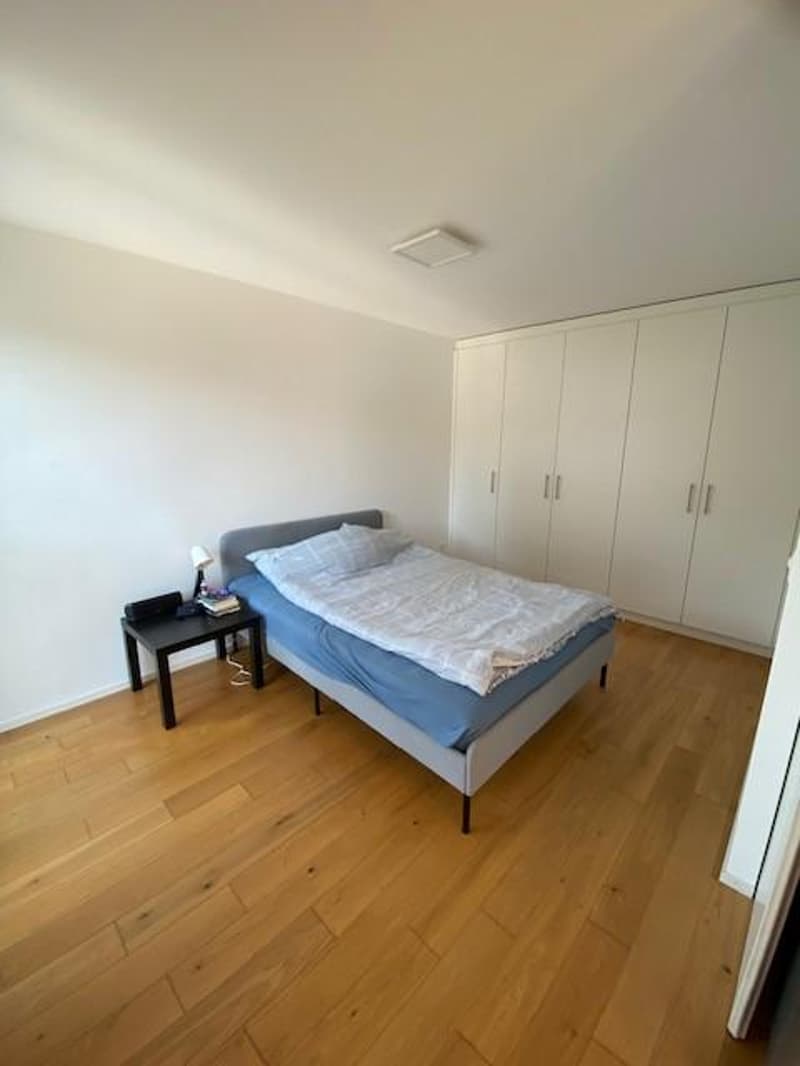 Bello appartamento di 1.5 locali (4)