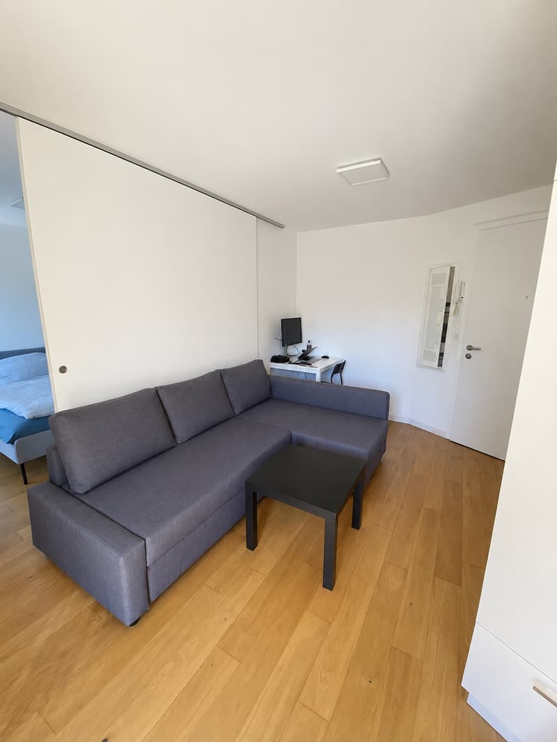 Bello appartamento di 1.5 locali (2)