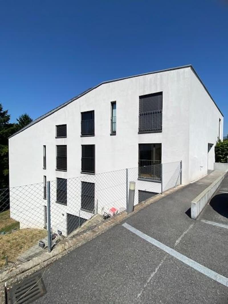 Bello appartamento di 1.5 locali (1)