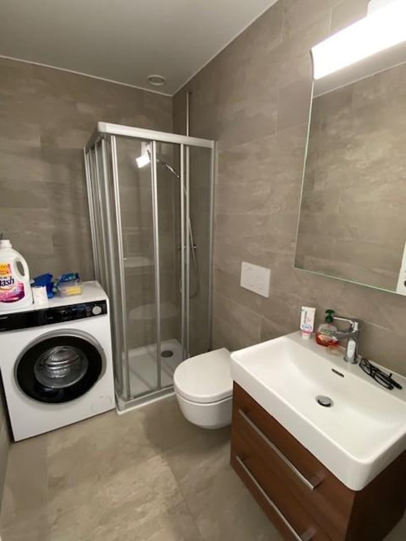 Bello appartamento di 1.5 locali (5)